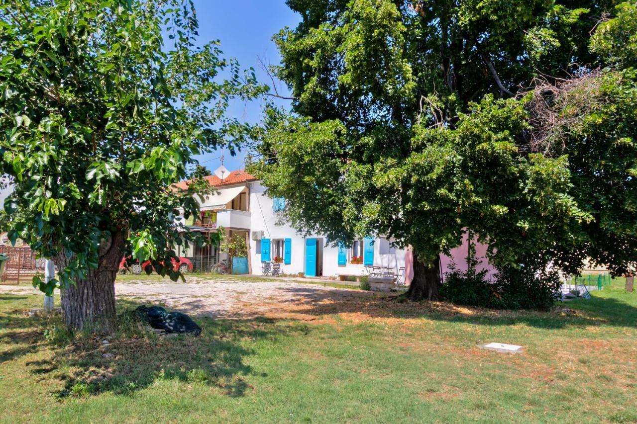 Apartmani Anna อูมัค ภายนอก รูปภาพ